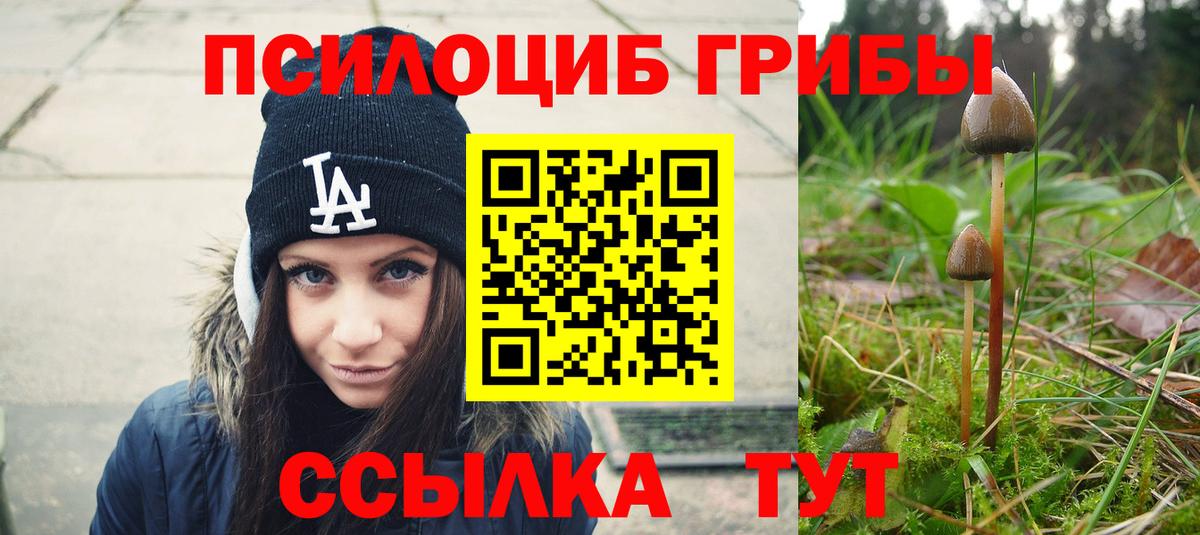 Псилоцибиновые грибы Cubensis Борисоглебск